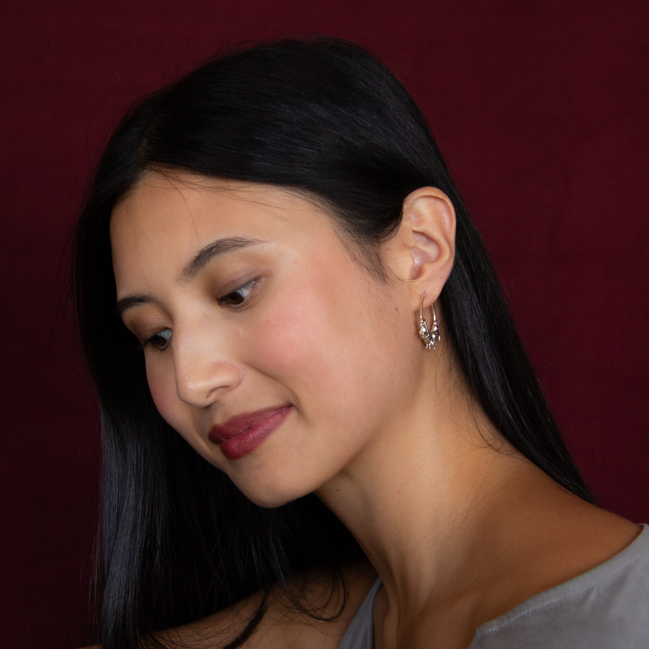 Silver carousel hoops