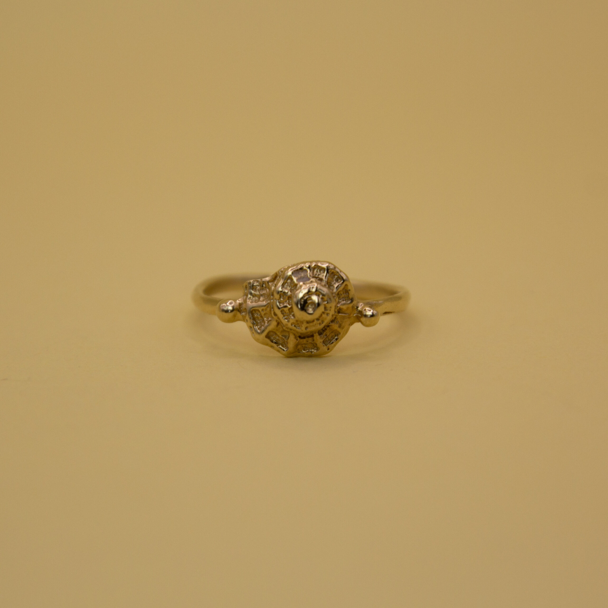 Spiral shell ring in gold