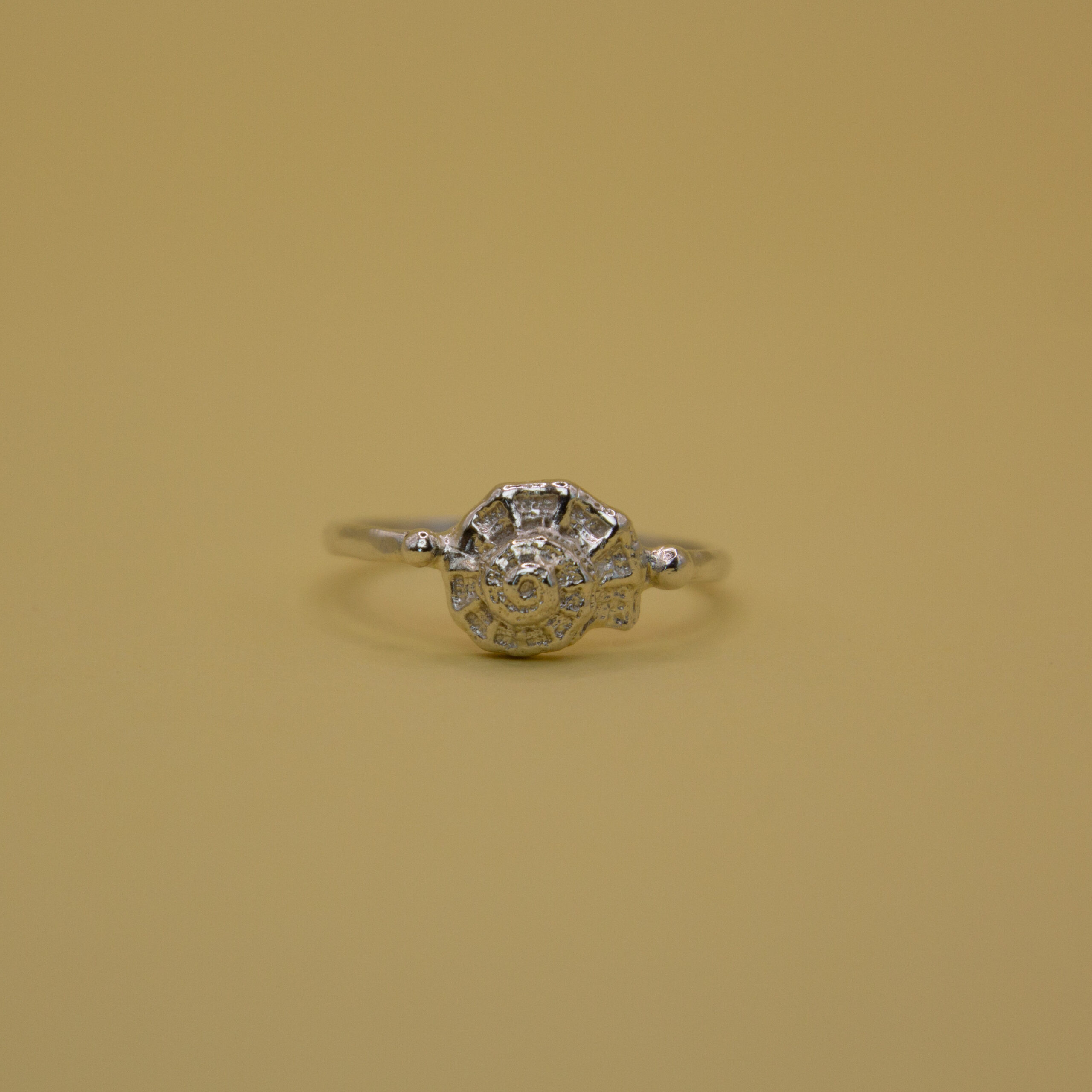Spiral shell ring in silver